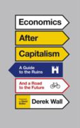 Economics after Capitalism A Guide to the Ruins and a Road to the Future  9780745335070 Front Cover