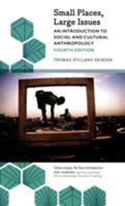 Small Places, Large Issues - Fourth Edition An Introduction to Social and Cultural Anthropology 4th 9780745335933 Front Cover