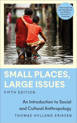     SMALL PLACES,LARGE ISSUES  9780745348193 Front Cover