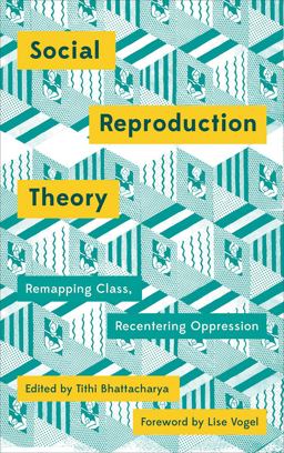 Social Reproduction Theory Remapping Class, Recentring Oppression  9780745399881 Front Cover