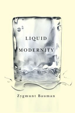 Liquid Modernity  9780745624105 Front Cover