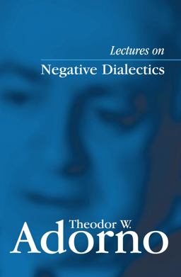 Lectures on Negative Dialectics Fragments of a Lecture Course 1965/1966 1st 2008 9780745635101 Front Cover