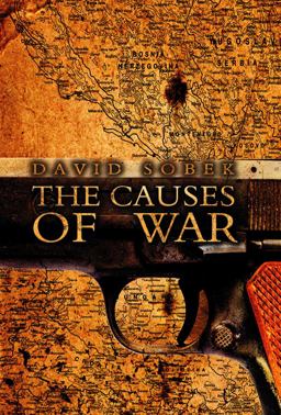 Causes of War  9780745641997 Front Cover