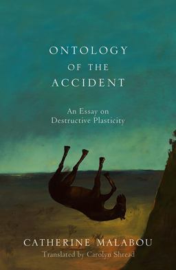 Ontology of the Accident An Essay on Destructive Plasticity  9780745652610 Front Cover