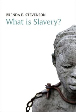 What Is Slavery?  9780745671512 Front Cover