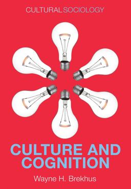 Culture and Cognition Patterns in the Social Construction of Reality 1st 2015 9780745671765 Front Cover