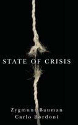 State of Crisis  9780745680941 Front Cover