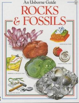 Rocks and Fossils