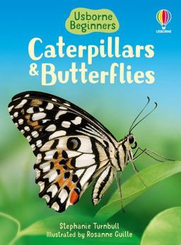 Beginners: Caterpillars and Butterflies