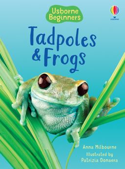Tadpoles and Frogs (Beginners)