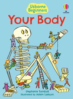 Your Body (Beginners)
