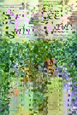 Secret Garden  9780746077139 Front Cover