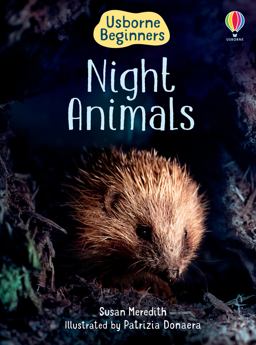 Night Animals (Beginners)