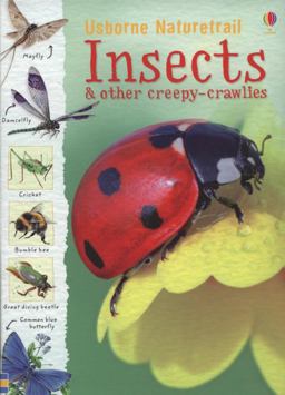 Insects