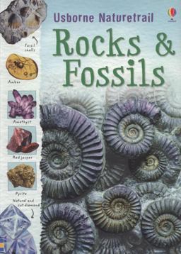 Rocks and Fossils