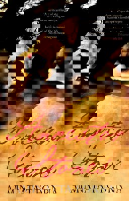 Ancestor Stones  9780747585923 Front Cover