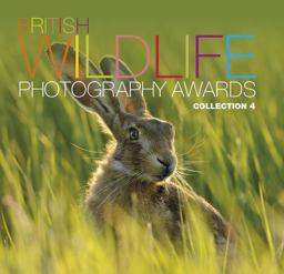 British Wildlife Photography Awards: Collection 4