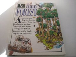 Rain Forest - New View