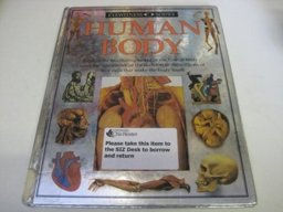 Human Body
