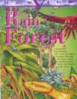 Rain Forest