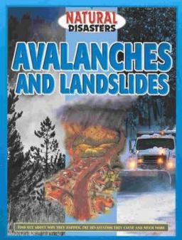 Avalanches and Landslides