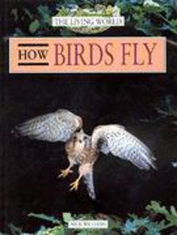 How Birds Fly How Birds Fly