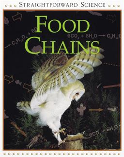 Food Chains
