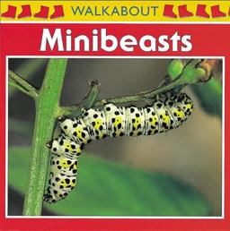 Minibeasts