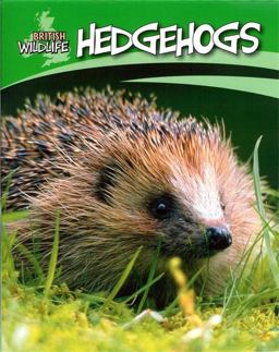 Hedgehogs