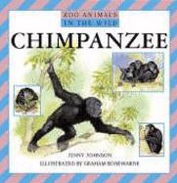 Chimpanzee