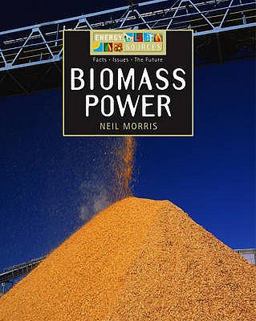 Biomass Power