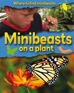 Minibeasts on a Plant