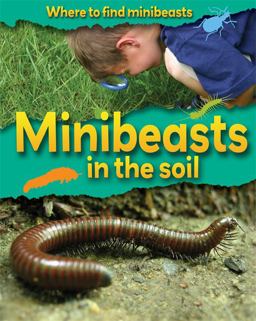Minibeasts in the Soil
