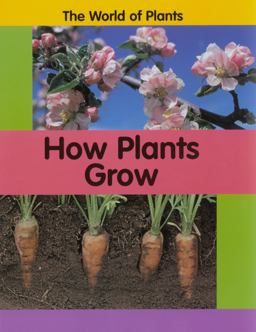 How Plants Grow