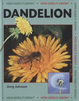 Dandelion