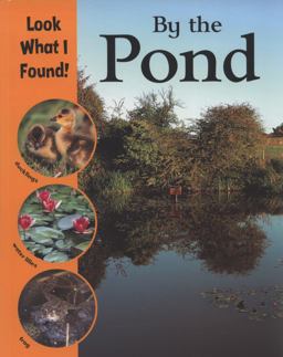 By the Pond