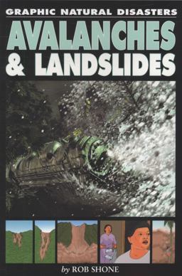 Avalanches and Landslides