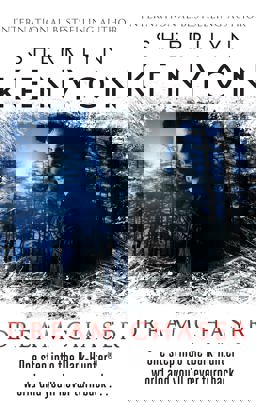 Dream Chaser Number 14 in Series  9780749956516 Front Cover