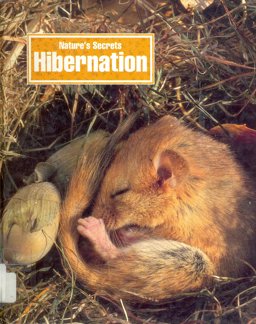 Hibernation