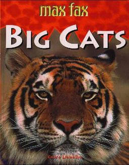 Big Cats