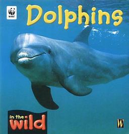 In The Wild In The Wild