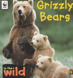 Grizzly Bear