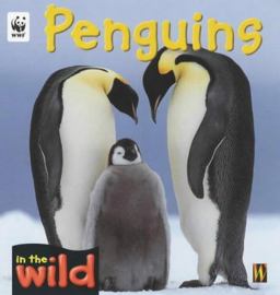 Penguins Penguins