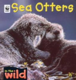 Sea Otters Sea Otters