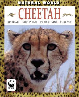 Cheetah