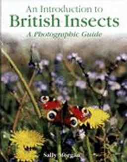 British Insects