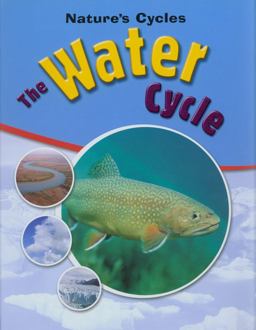 Water Cycle
