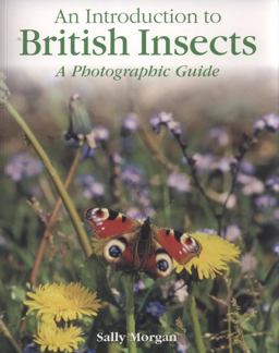Introduction to British Insects