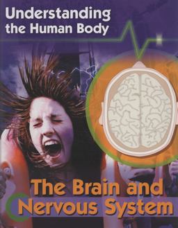 Brain and Nervous System