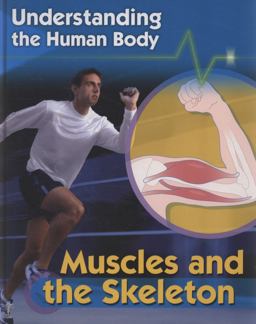 Muscles and Skeleton